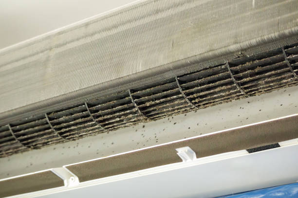 Best Air Quality Test  in Hephzibah, GA