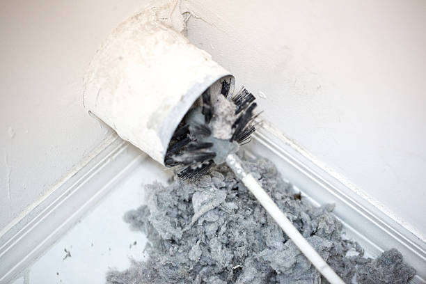 Air Duct Mold Removal in Hephzibah, GA